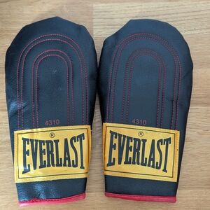 Everlast Black and Red Boxing Mitts‎